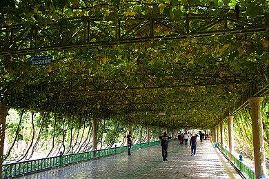 《命运2》下周将与《捉鬼敢死队》合作推出新联动